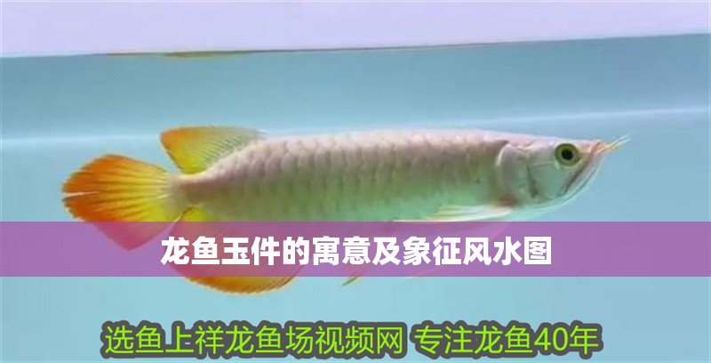 龍魚玉件的寓意及象征風水圖