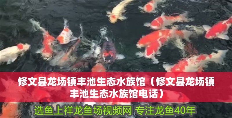 修文縣龍場(chǎng)鎮(zhèn)豐池生態(tài)水族館（修文縣龍場(chǎng)鎮(zhèn)豐池生態(tài)水族館電話）