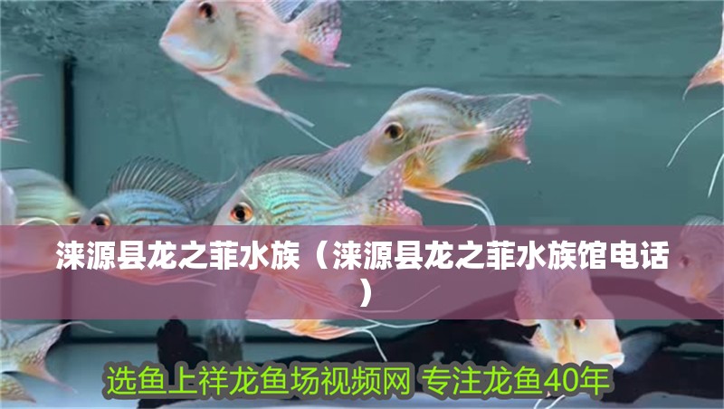 淶源縣龍之菲水族（淶源縣龍之菲水族館電話）