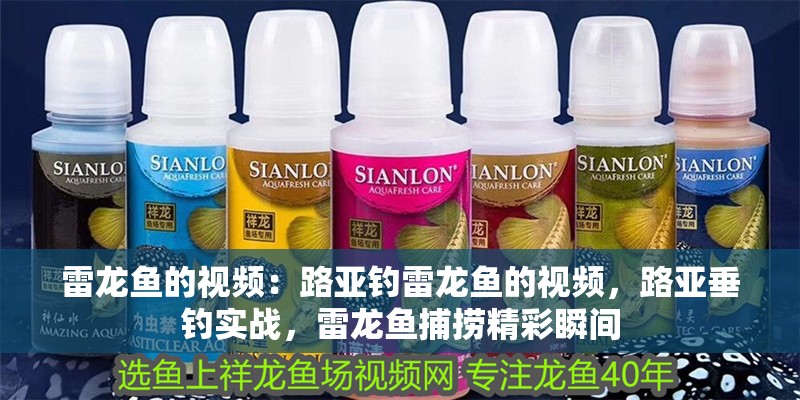 雷龍魚的視頻：路亞釣雷龍魚的視頻，路亞垂釣實戰，雷龍魚捕撈精彩瞬間