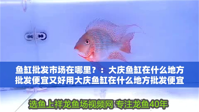魚缸批發市場在哪里？：大慶魚缸在什么地方批發便宜又好用大慶魚缸在什么地方批發便宜又好用