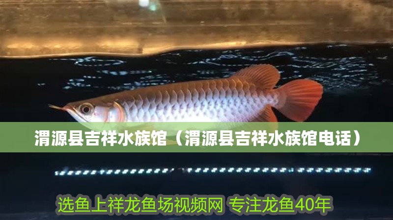 渭源縣吉祥水族館（渭源縣吉祥水族館電話）