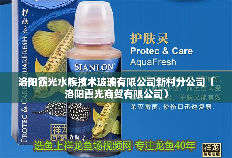 洛陽霞光水族技術玻璃有限公司新村分公司（洛陽霞光商貿有限公司）