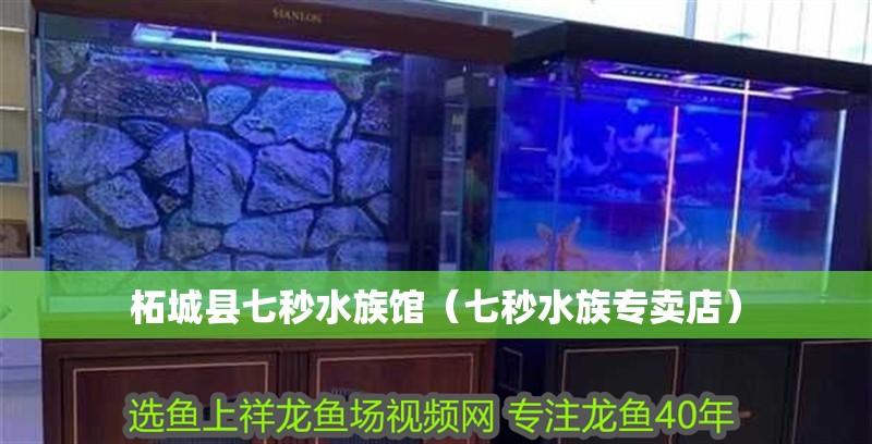 柘城縣七秒水族館（七秒水族專賣店）