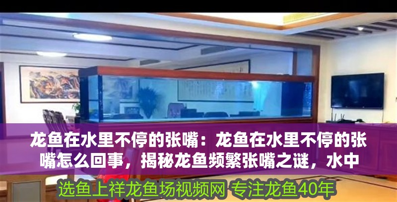 龍魚在水里不停的張嘴：龍魚在水里不停的張嘴怎么回事，揭秘龍魚頻繁張嘴之謎，水中