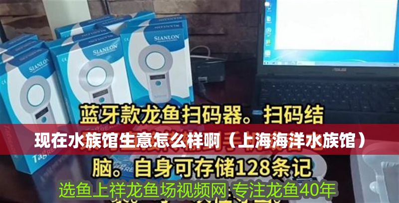 現在水族館生意怎么樣啊（上海海洋水族館）
