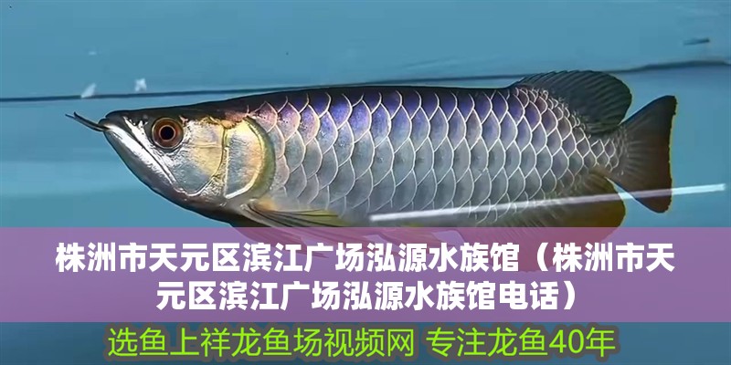 株洲市天元區(qū)濱江廣場泓源水族館（株洲市天元區(qū)濱江廣場泓源水族館電話）