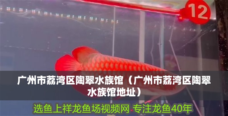 廣州市荔灣區(qū)陶翠水族館(廣州市荔灣區(qū)陶翠水族館地址) 全國水族館企業(yè)名錄 第2張 廣州市荔灣區(qū)陶翠水族館(廣州市荔灣區(qū)陶翠水族館地址) 廣州市荔灣區(qū)陶翠水族館(廣州市荔灣區(qū)陶翠水族館地址) 全國水族館企業(yè)名錄 第2張