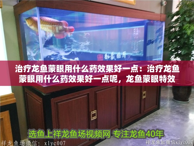 治療龍魚蒙眼用什么藥效果好一點：治療龍魚蒙眼用什么藥效果好一點呢，龍魚蒙眼特效