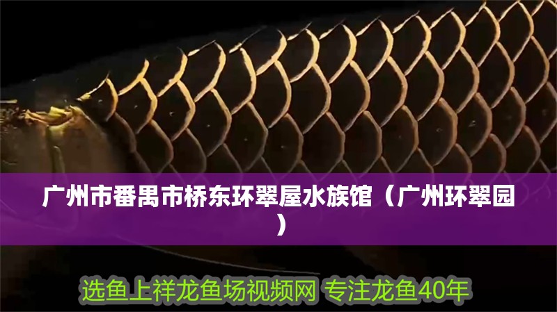 廣州市番禺市橋東環(huán)翠屋水族館（廣州環(huán)翠園）