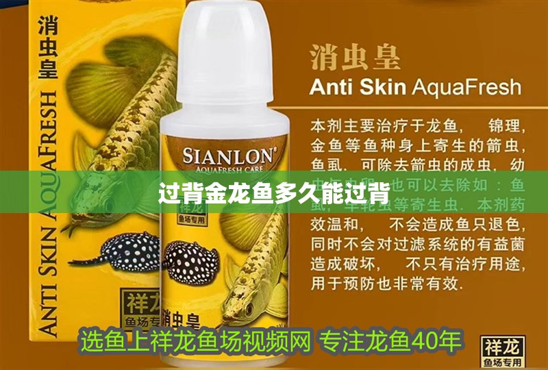 過背金龍魚多久能過背
