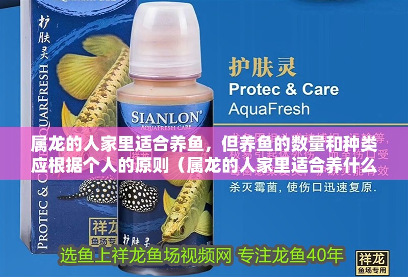 屬龍的人家里適合養(yǎng)魚，但養(yǎng)魚的數量和種類應根據個人的原則（屬龍的人家里適合養(yǎng)什么魚？）