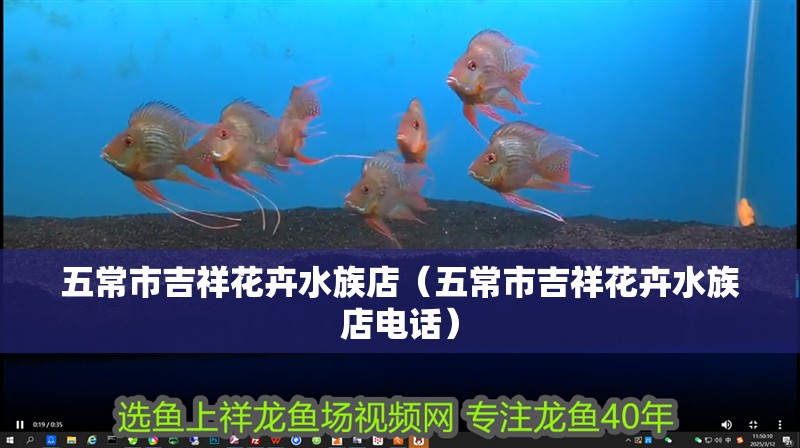 五常市吉祥花卉水族店（五常市吉祥花卉水族店電話）