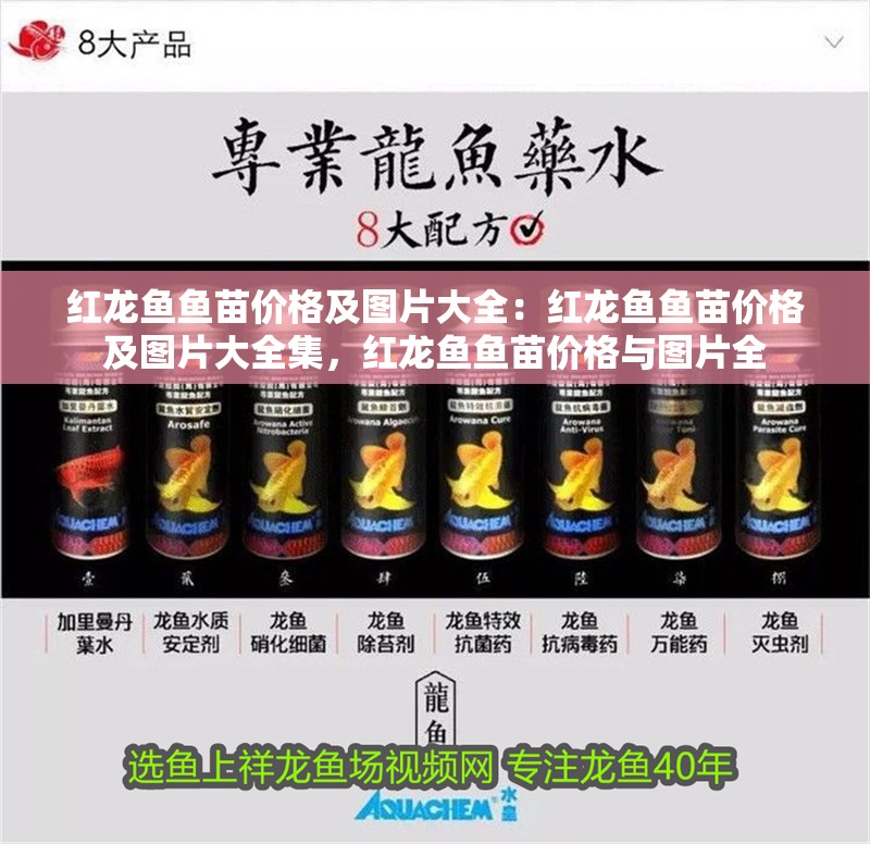 紅龍魚魚苗價格及圖片大全：紅龍魚魚苗價格及圖片大全集，紅龍魚魚苗價格與圖片全