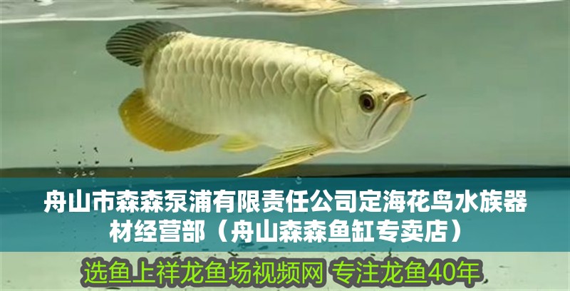 舟山市森森泵浦有限責(zé)任公司定海花鳥水族器材經(jīng)營(yíng)部（舟山森森魚缸專賣店）