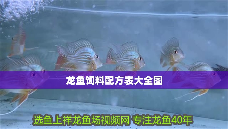 龍魚飼料配方表大全圖