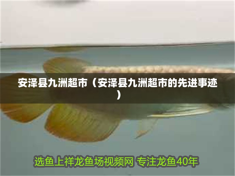 安澤縣九洲超市（安澤縣九洲超市的先進事跡）