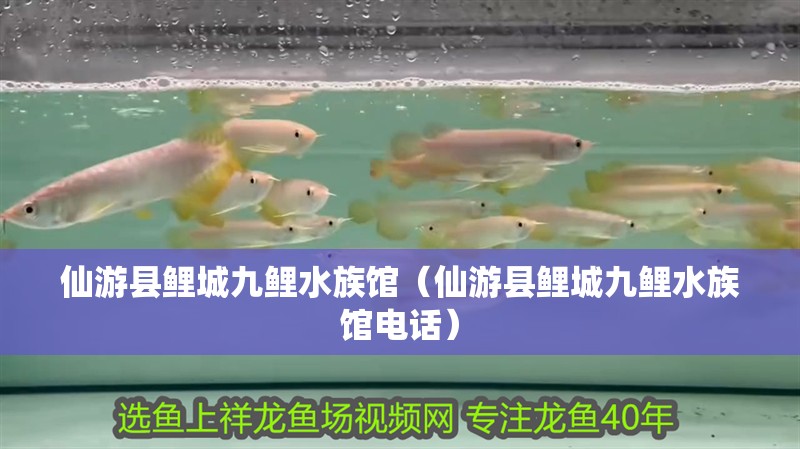 仙游縣鯉城九鯉水族館（仙游縣鯉城九鯉水族館電話）