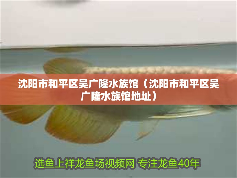 沈陽市和平區吳廣隆水族館（沈陽市和平區吳廣隆水族館地址）