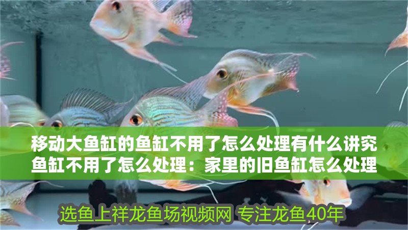 移動大魚缸的魚缸不用了怎么處理有什么講究魚缸不用了怎么處理：家里的舊魚缸怎么處理？