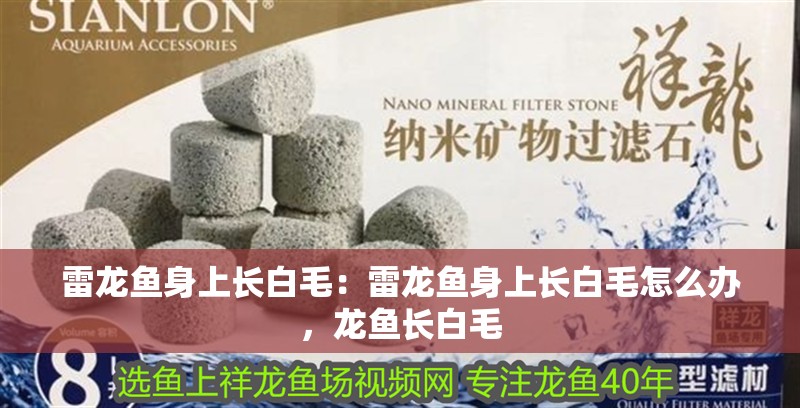 雷龍魚身上長白毛：雷龍魚身上長白毛怎么辦，龍魚長白毛