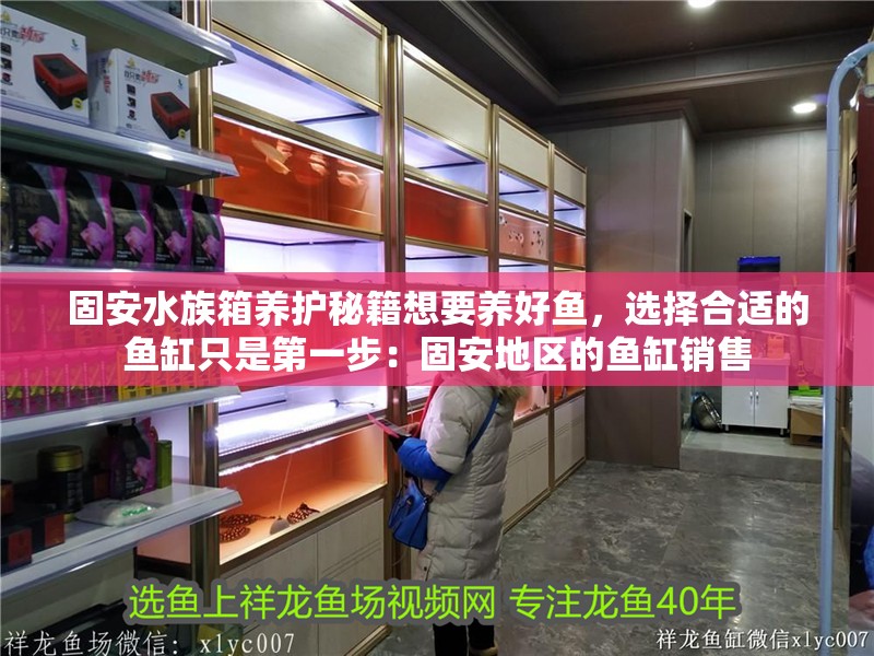 固安水族箱養護秘籍想要養好魚，選擇合適的魚缸只是第一步：固安地區的魚缸銷售