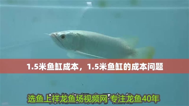 1.5米魚缸成本，1.5米魚缸的成本問題