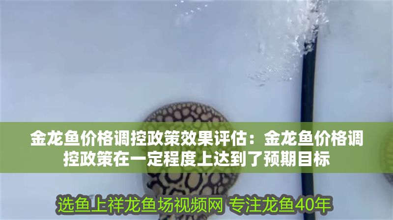 金龍魚價格調控政策效果評估：金龍魚價格調控政策在一定程度上達到了預期目標 金龍魚價格調控政策效果評估：金龍魚價格調控政策在一定程度上達到了預期目標 金龍魚百科 第2張