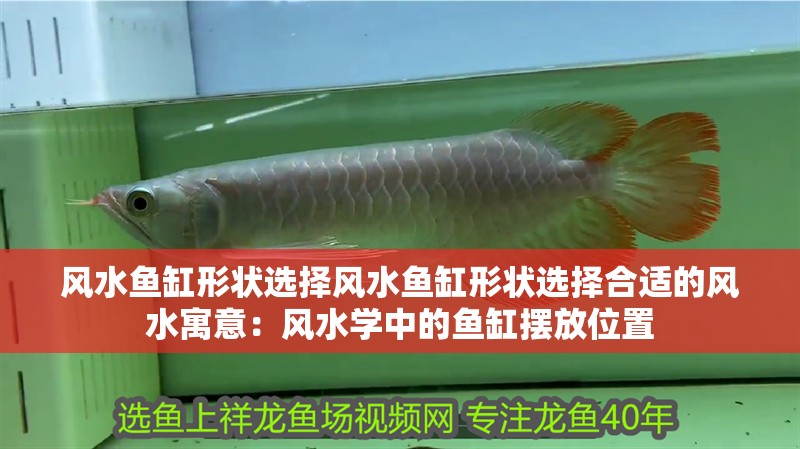 風水魚缸形狀選擇風水魚缸形狀選擇合適的風水寓意：風水學中的魚缸擺放位置