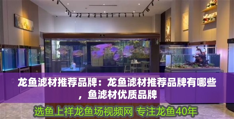 龍魚濾材推薦品牌：龍魚濾材推薦品牌有哪些，魚濾材優質品牌
