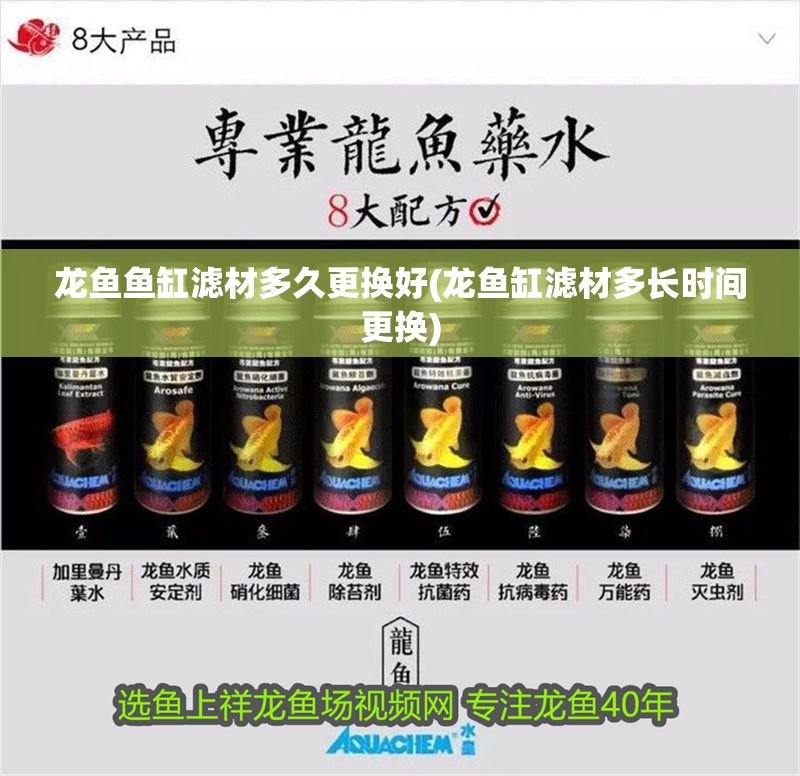 龍魚魚缸濾材多久更換好(龍魚缸濾材多長時間更換)