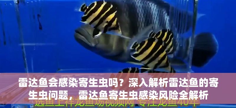 雷達(dá)魚會感染寄生蟲嗎？深入解析雷達(dá)魚的寄生蟲問題，雷達(dá)魚寄生蟲感染風(fēng)險全解析