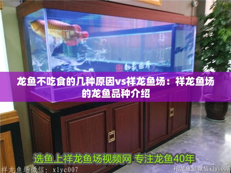 龍魚不吃食的幾種原因vs祥龍魚場：祥龍魚場的龍魚品種介紹