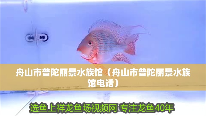 舟山市普陀麗景水族館（舟山市普陀麗景水族館電話）