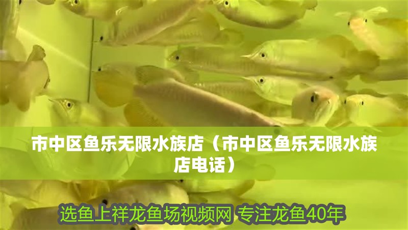 市中區(qū)魚樂無限水族店（市中區(qū)魚樂無限水族店電話）