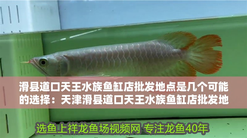 滑縣道口天王水族魚缸店批發地點是幾個可能的選擇：天津滑縣道口天王水族魚缸店批發地點是幾個可能的選擇