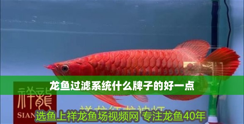 龍魚過濾系統(tǒng)什么牌子的好一點(diǎn)