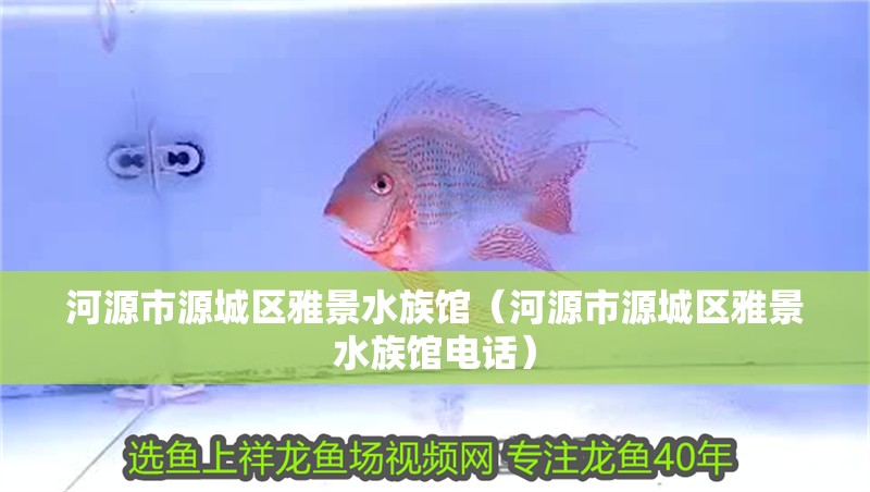 河源市源城區雅景水族館（河源市源城區雅景水族館電話）