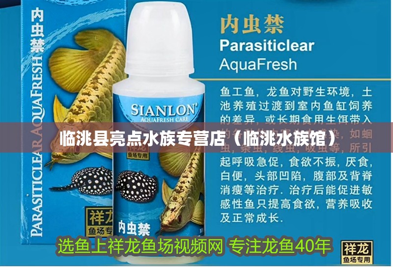 臨洮縣亮點(diǎn)水族專(zhuān)營(yíng)店（臨洮水族館）