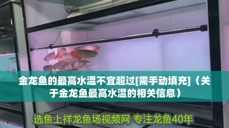 金龍魚(yú)的最高水溫不宜超過(guò)[需手動(dòng)填充]（關(guān)于金龍魚(yú)最高水溫的相關(guān)信息）