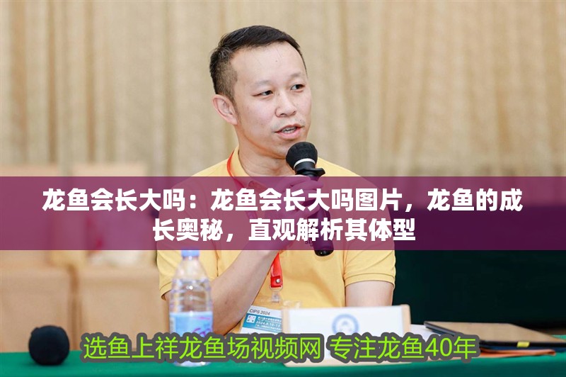 龍魚會長大嗎：龍魚會長大嗎圖片，龍魚的成長奧秘，直觀解析其體型