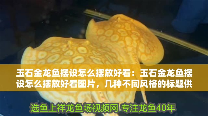 玉石金龍魚擺設(shè)怎么擺放好看：玉石金龍魚擺設(shè)怎么擺放好看圖片，幾種不同風(fēng)格的標(biāo)題供你參考，你可以根據(jù)實(shí)際需求進(jìn)行選擇，，驚艷！玉石金龍魚擺設(shè)的絕美擺放攻略與實(shí)拍圖，必看！玉石金龍魚擺設(shè)超美觀的擺放方法及圖片展示，解鎖秘籍，玉石金龍魚擺設(shè)好看又吉祥的擺放之道