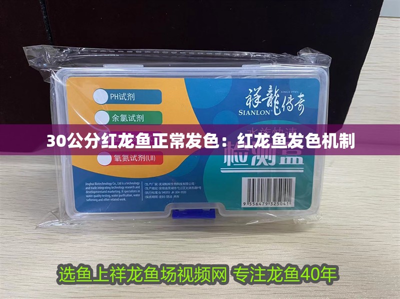 30公分紅龍魚(yú)正常發(fā)色：紅龍魚(yú)發(fā)色機(jī)制