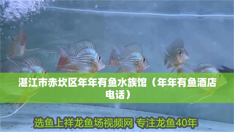 湛江市赤坎區(qū)年年有魚(yú)水族館（年年有魚(yú)酒店電話(huà)）