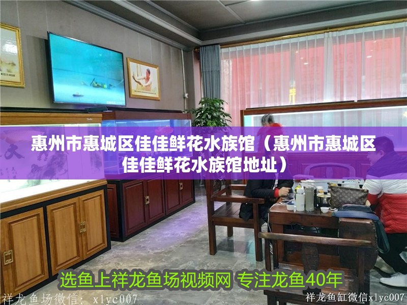 惠州市惠城區佳佳鮮花水族館（惠州市惠城區佳佳鮮花水族館地址）