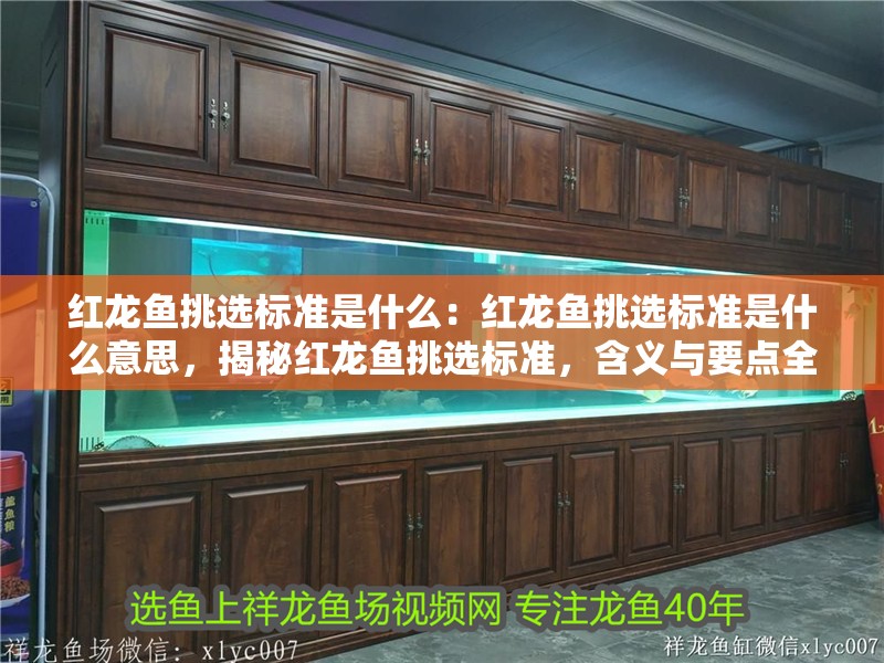 紅龍魚挑選標準是什么：紅龍魚挑選標準是什么意思，揭秘紅龍魚挑選標準，含義與要點全解析