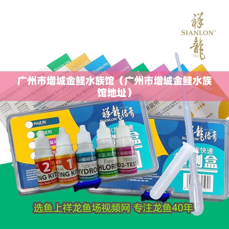 廣州市增城金鯉水族館（廣州市增城金鯉水族館地址）