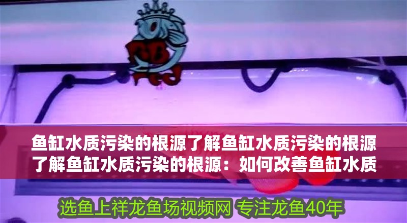 魚缸水質污染的根源了解魚缸水質污染的根源了解魚缸水質污染的根源：如何改善魚缸水質