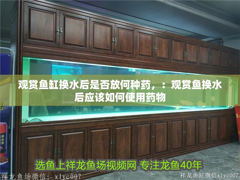 觀賞魚缸換水后是否放何種藥，：觀賞魚換水后應該如何使用藥物