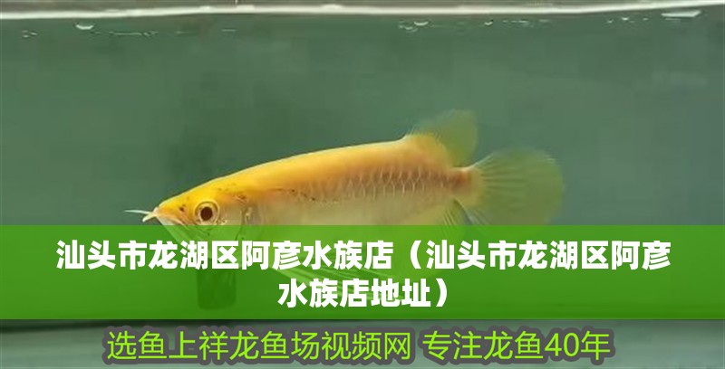 汕頭市龍湖區阿彥水族店（汕頭市龍湖區阿彥水族店地址）